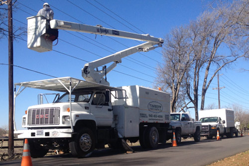 tree trimming and tree removal in Denton Texas